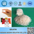 Professional powdered bulk gelatin with low price